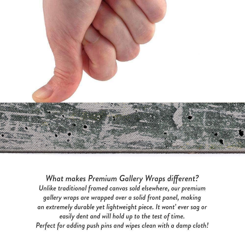 Christ the Savior