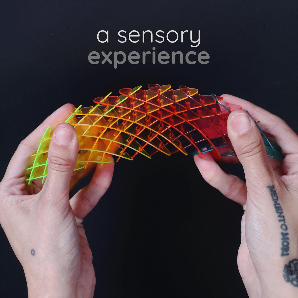 Morf Worm 3D Sensory Fidget Toys for Kids, Teens & Adults, Rainbow, Small | Quiet fidget toy for classroom, office & travel. Sensory toy for focus, stress & anxiety. Squish, stretch & bend!