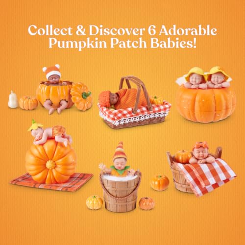 My Mini Pumpkin Patch Series 1 By ZURU | 1 of 6 limited-edition fall babies; ultra-realistic soft skin; cozy swaddle + themed accessory; collect all 6; ages 5+